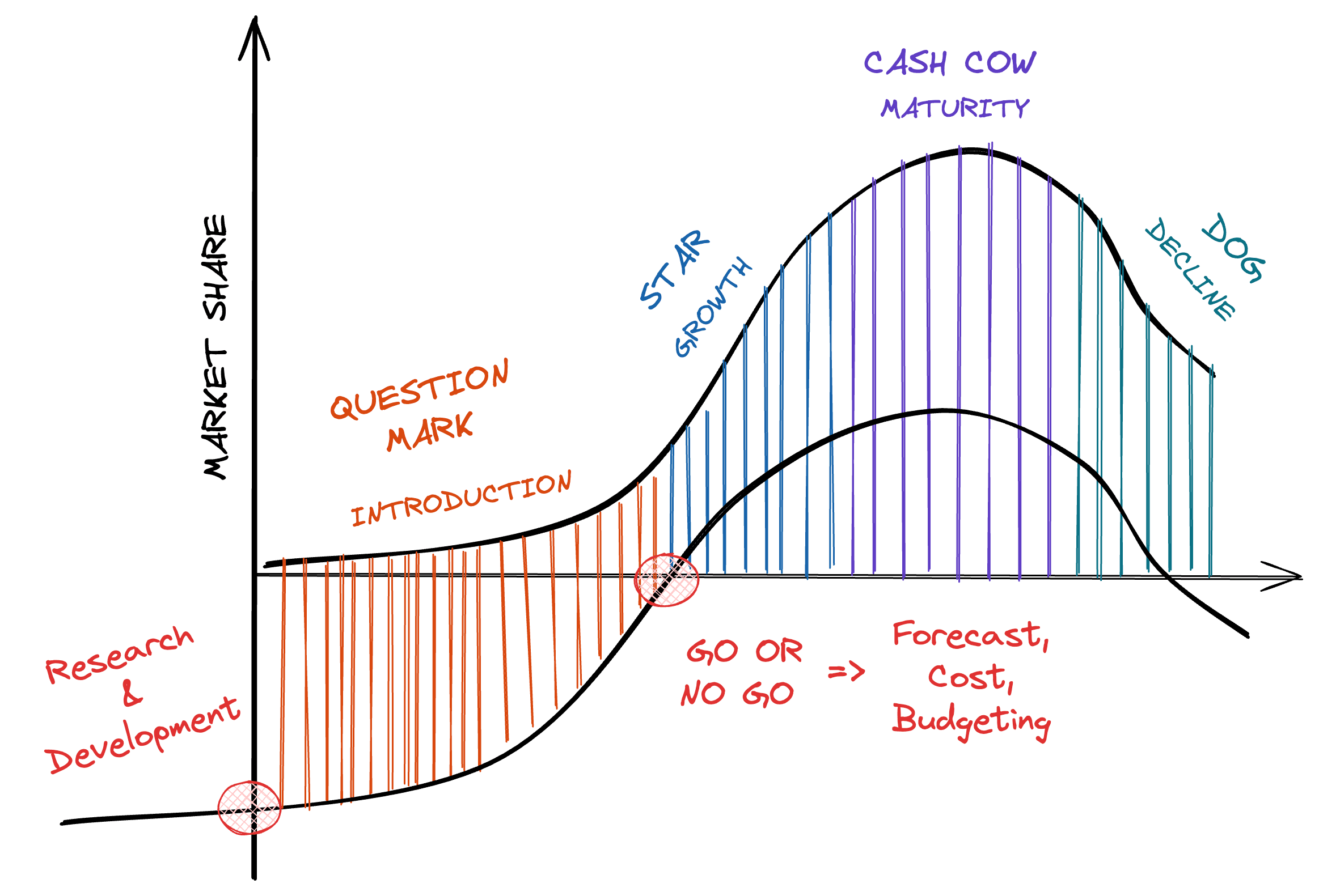 Product Lifecycle Image